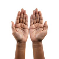 Hands raised up gesture Isolated on transparent background png