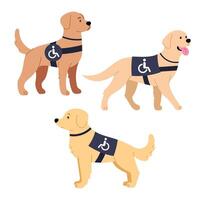 Set of different guide dogs in flat style. Friend and helper for the blind. Healthcare concept. Dog with a disability sign. vector