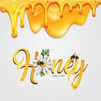 Honey drop with Bees, white Background vector