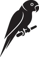 Parrot silhouette. Parakeet silhouette art white background. silhouette of a budgerigar parrot isolated on a white background. Side view, logo, icon. vector
