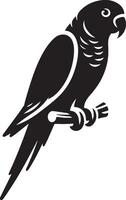 Parrot silhouette. Parakeet silhouette art white background. silhouette of a budgerigar parrot isolated on a white background. Side view, logo, icon. vector
