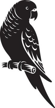 loro silueta. perico silueta Arte blanco antecedentes. silueta de un periquito loro aislado en un blanco antecedentes. lado vista, logo, icono. vector