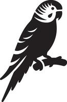 Parrot silhouette. Parakeet silhouette art white background. silhouette of a budgerigar parrot isolated on a white background. Side view, logo, icon. vector