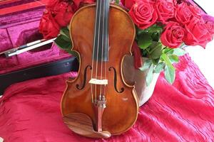 Violin, bows and roses on a red background. photo