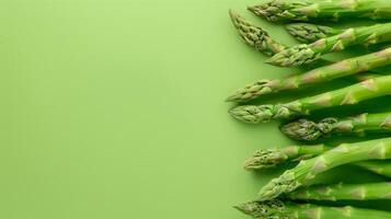 Copy space flat lay asparagus vegetable sprout isolated green photo