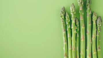 Copy space flat lay asparagus vegetable sprout isolated green photo