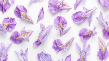 Iris flower pattern blue color nature seamless for wallpaper print background photo