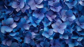 Hydrangea blue flower pattern textile print wallpaper background photo