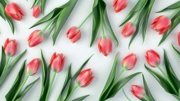 White tulips flower pattern seamless romantic wallpaper background photo