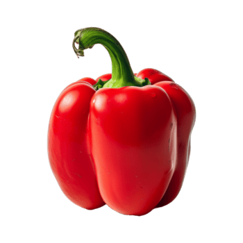 frisch rot Glocke Pfeffer isoliert auf transparent Hintergrund png