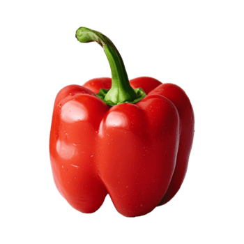 frisch rot Glocke Pfeffer isoliert auf transparent Hintergrund png