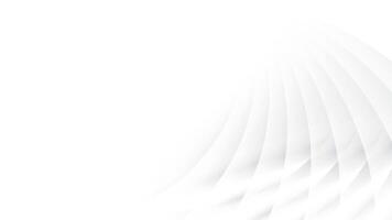 Abstract white and gray color, modern design stripes background with curve lines. illustration. vector