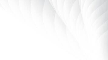 Abstract white and gray color, modern design stripes background with curve lines. illustration. vector