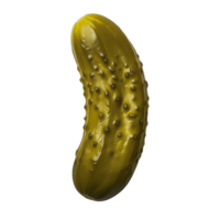 Top Down View of a Fresh Dill Pickle on Transparent Background png