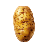 Top View Of Single Potato Isolated On Transparent Background png
