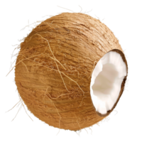 Whole Coconut with Husk and Open End on Transparent Background png