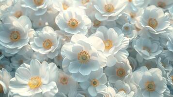 Anemon flower pattern seamless wallpaper background photo