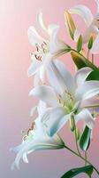 Beauty lily blossom flower copy space decoration nature background photo