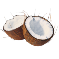 Fresh Coconut Halves on Transparent Background png