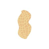 peanut flat design illustration isolated on white background. Superfood and vegan protein source concept. Perfect for dietary vegetarian guides and food packaging vector