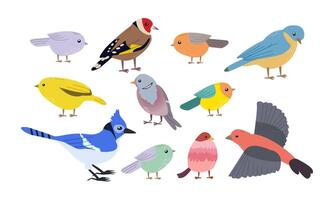 BIRDS , set illustration of spring birds , different shapes and color flat cartoon style isolate on white background ,for various design uses , cards , invitation, books , banners , background vector