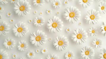 Daisy white flower pattern textile print wallpaper background photo