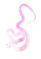 Cute pink snake isolated on white background. polygonal style snake. Chinese horoscope zodiac sign, year of the snake 2025. Friendly geometric reptile. Design for logo, print or web. illustration vector