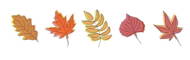 Set of hand drawn outline autumn leaves doodles. Color elements on white background. Different types of leaves. Sketch technique. Perfect for coloring pages, stickers. Simple line art vector