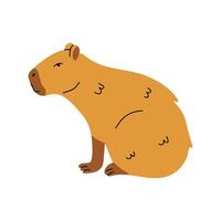 Capybara Sitting On White Background vector