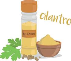 coriander illustration isolated in cartoon style. Spanish name. Herbs and Species Series vector