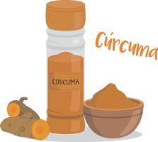 turmeric illustration isolated in cartoon style. Spanish name. Herbs and Species Series vector