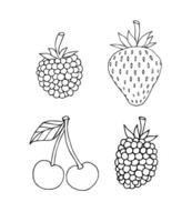 Set of hand drawn sketch berries vector