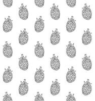 Seamless pattern of sketch blackberry vector