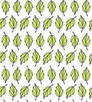 Seamless pattern of different leaves vector