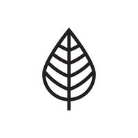 Leaf simple icon template. vector