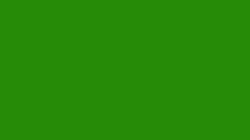 Simple wind effect, wind animation graphic animated 4k on green screen background video
