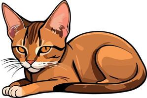 Graceful Abyssinian Cat Illustration vector