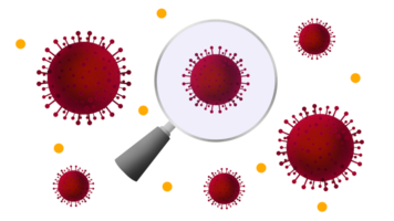 magnifying glass showing bacteria and virus, viruses under a magnifying glass, Dangerous pathogens and viruses, education for school, Microscopic view of virus particles png