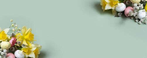 Daffodils, easter eggs and willow on green background with copy space. Easter greeting banner template photo