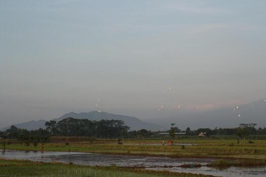 View of mountain from rice field photo