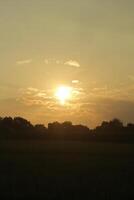Golden Hour of the rice field photo