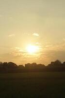 Golden Hour of the rice field photo