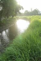 The little river that reflect sun light photo