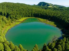 Sao Miguel - Azores photo