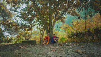 People relaxing under a tree in a forest video