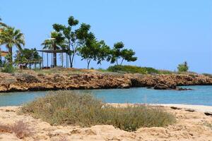 Summer holiday at sea. View of a sandy, rocky beach with vegetation on a hot summer day on the Mediterranean Sea, on the island of Cyprus, Protaras resort. Marlita beach with palm trees photo