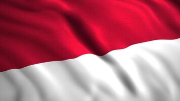 A large two-color flag of Indonesia.Motion. A two-tone flag consisting of white and red. video