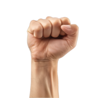 Collection of holding fists up, hand gesture . isolated on a transparent background cutout or clipping path. png