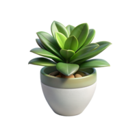 3d rendering of a succulent plant in a pot png