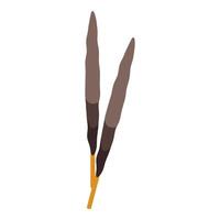 Cattail reeds growing together in marshland environment vector